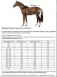 Ooteman Paardensport