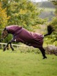 Ooteman Paardensport