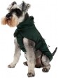 Ooteman Paardensport