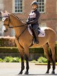 Ooteman Paardensport