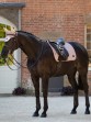 Ooteman Paardensport