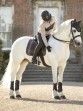 Ooteman Paardensport