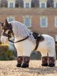 Ooteman Paardensport