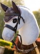 Ooteman Paardensport