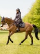 Ooteman Paardensport