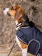 Ooteman Paardensport