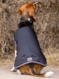 Ooteman Paardensport