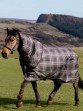 Ooteman Paardensport