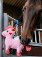 Ooteman Paardensport