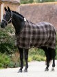 Ooteman Paardensport