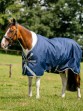 Ooteman Paardensport