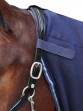 Ooteman Paardensport