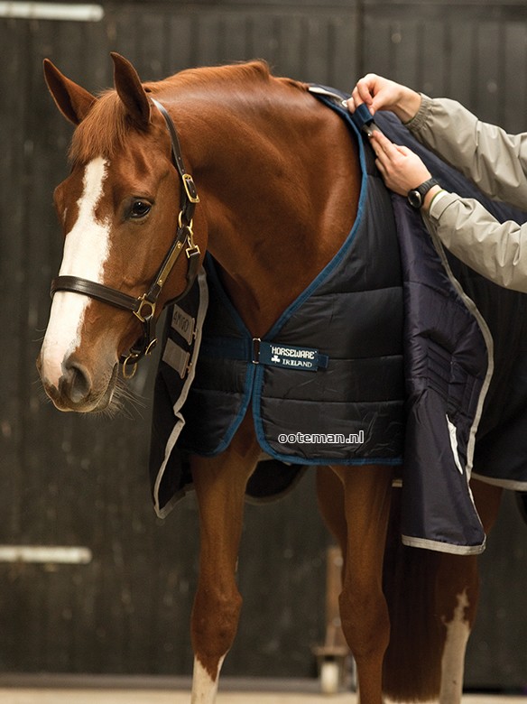 piloot Extractie Garantie Horseware Onderdeken Liner 200 | Ooteman Paardensport