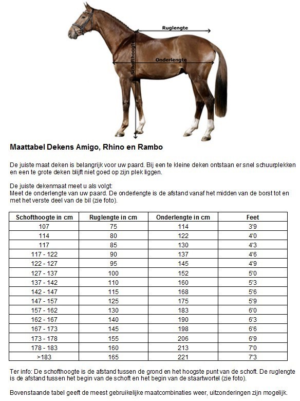 Verbeteren Sta op Botanist Amigo Regendeken Hero Ripstop Plus Lite Fig | Ooteman Paardensport