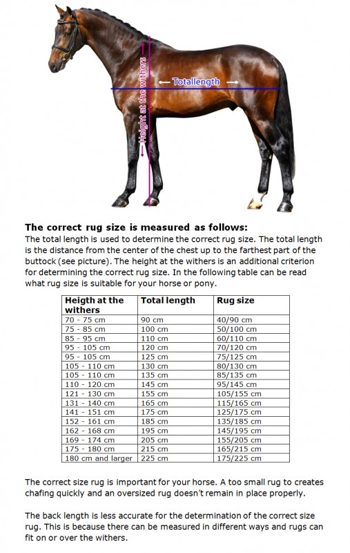 Horse Rug Sizes In Cm - Carpet Vidalondon