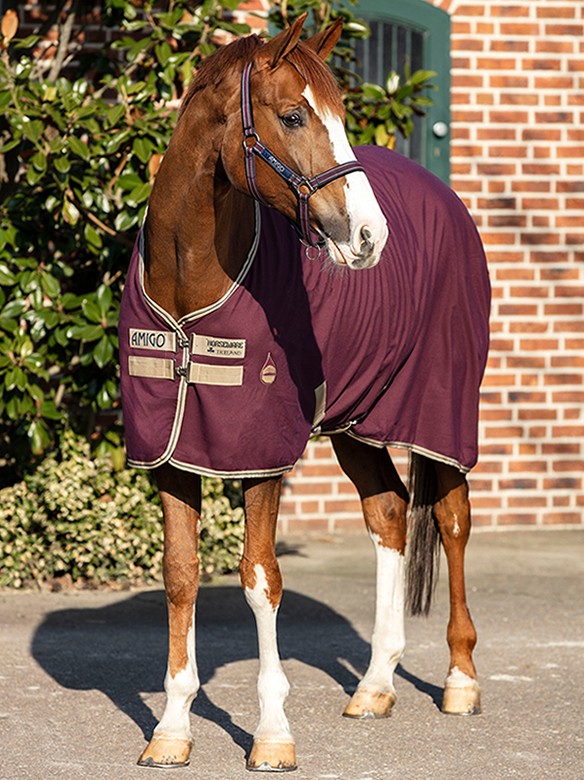 kleding Fokken gesmolten Amigo Zomerdeken Stable Fig | Ooteman Paardensport