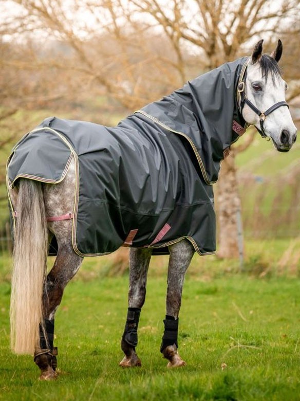 Amigo Regendeken Hero Ripstop Plus Lite Shadow Ooteman Paardensport