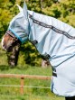 Ooteman Paardensport