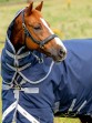 Ooteman Paardensport