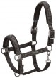 Ooteman Paardensport