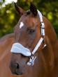 Ooteman Paardensport