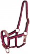 Ooteman Paardensport