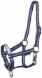 Ooteman Paardensport