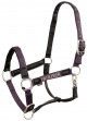 Ooteman Paardensport