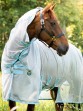 Ooteman Paardensport