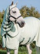 Ooteman Paardensport