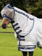 Ooteman Paardensport