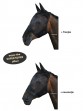 Ooteman Paardensport
