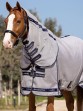 Ooteman Paardensport