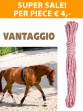 Ooteman Paardensport