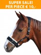Ooteman Paardensport