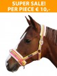 Ooteman Paardensport