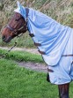Ooteman Paardensport