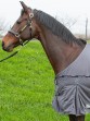 Harry's Horse Vliegendeken Mesh-Pro Belly Grey