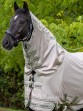 Ooteman Paardensport