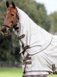 Ooteman Paardensport