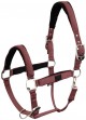 Ooteman Paardensport