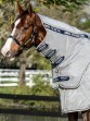 Ooteman Paardensport