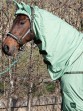 Harry's Horse Vliegendeken Mesh-Pro Belly Mistletoe