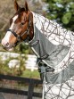 Ooteman Paardensport