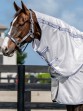 Ooteman Paardensport