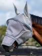Ooteman Paardensport