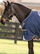 Ooteman Paardensport