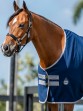 Ooteman Paardensport