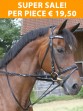 Ooteman Paardensport