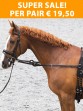 Ooteman Paardensport